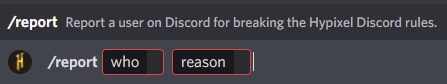 Discord_Report_Command.png