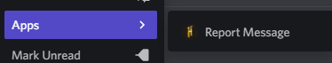 Discord_Message_Report_GUI.png
