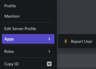 Discord_Report_Profile_GUI.png